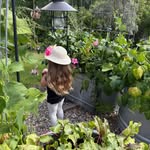 Denise Gayle Dougherty - @denedougherty - Instagram