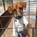 Denise Dowell - Facebook
