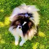 Denise Driskell413 - @denisedriskell - TikTok
