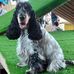 Denise Duffield - Facebook