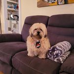 Denise Dufour - @denise.dufour.507 - Instagram