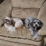 Denise Dufour - @neesymt1976 - Instagram