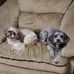 Denise Dufour - Facebook