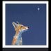 Denise Duguay - Facebook
