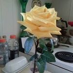 Denise Duguay Holt - @duguayholt - Instagram
