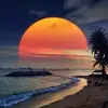 deniseelder5 - @denise.elder - TikTok