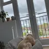 Denise.Ellison - @shirlpzgw5p - TikTok