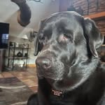 Denise Engels - @engels5980 - Instagram