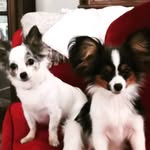 Denise Engels - @denise_sonja - Instagram
