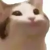 deniseervin - @deniseervin - TikTok