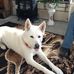 Denise Ethridge - Facebook