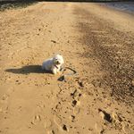 Denise Fallon - @denise.fallon.507 - Instagram