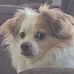Denise Feldman - Facebook