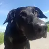 denisefeldmann468 - @denisefeldmann468 - TikTok