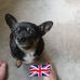 Denise Finney - Facebook