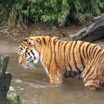 I love animals - @tia_denise_finney_2006_ - Instagram