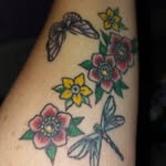 Denise Fitzpatrick - @denimc2022 - Instagram