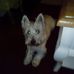 Denise Flaherty - Facebook