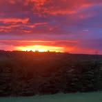 Denise Flaherty - Facebook