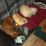Denise O' Flaherty - Facebook