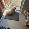 deniseoflaherty78 - @deniseoflaherty7 - TikTok