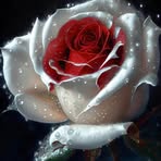 Denise Flett - Facebook