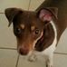 Denise Parvin Fleckenstein - Facebook