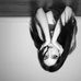 Denise Fleischer - Facebook