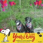 Denise Flora - @petparents2 - Instagram