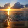 Denise Flowers - @denise.flowers1 - TikTok