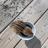 DeniseFlowers - @wizachfc0yz - TikTok