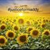 Denise Christianson Foley - Facebook
