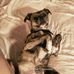 Denise Foley - Facebook