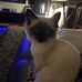 Denise Forbes - Facebook