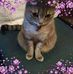 Denise Forbes - Facebook