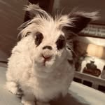 Denise Force Highcock - @dray1420 - Instagram