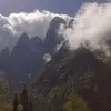 Denise Forcellini - @deniseforcellini - TikTok