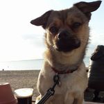 Denise Foreman - @aka_mrs_vardill - Instagram
