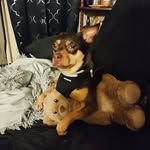 Denise Foreman - @smokingcow6849 - Instagram
