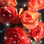 Denise Forget - Facebook