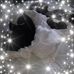 Denise Forrest - Facebook