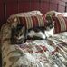 Denise Frederick - Facebook
