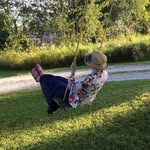 Denise Freeman - @artistintheattic - Instagram