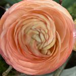 MEEHR ALS🌸 Denise Frey - @meehr_als - Instagram