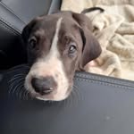 Denise Frith Hoffman - @frithhoffman - Instagram