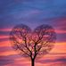 Denise Fulton - Facebook