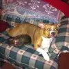 Denise Fultz271 - @denisefultz271 - TikTok
