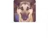 denisefultz8 - @denisefultz8 - TikTok