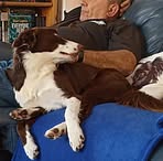 Denise Funnell - Facebook