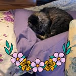 Denise Garrison - @denise.garrison.560 - Instagram